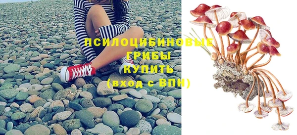 стафф Осташков