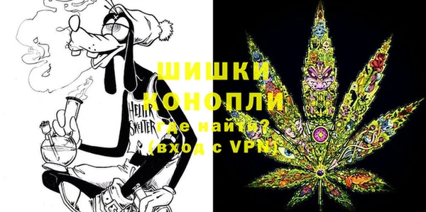 стафф Осташков
