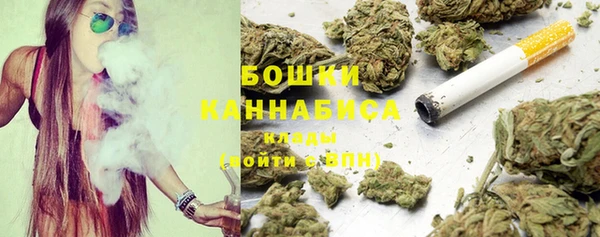стафф Осташков