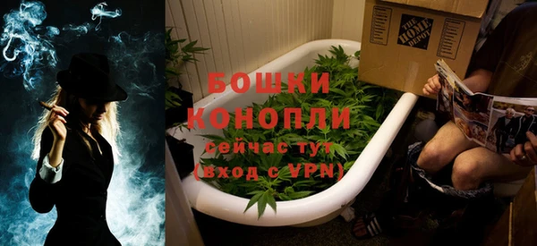 стафф Осташков