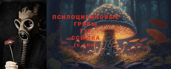 спайс Весьегонск